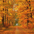 October