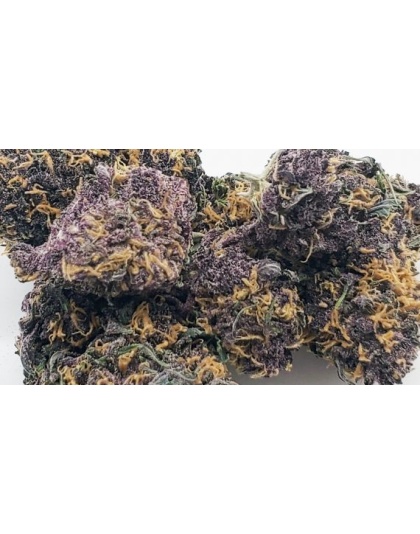 Black Bud Cannabis Seeds Feminized
