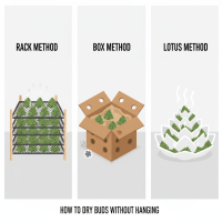 How To Dry Buds Without Hanging: Rack, Box & Lotus Methods