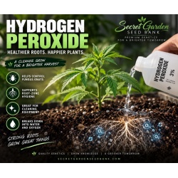 Hydrogen Peroxide for Cannabis Plants: Uses, Dilution & Safety Guide